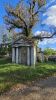 PICTURES/London - Kensal Green Cemetery and Catacombs/t_20240928_152052.jpg